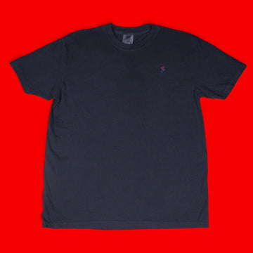 Strawberry Poison Dart Frog Icon Logo T-shirt