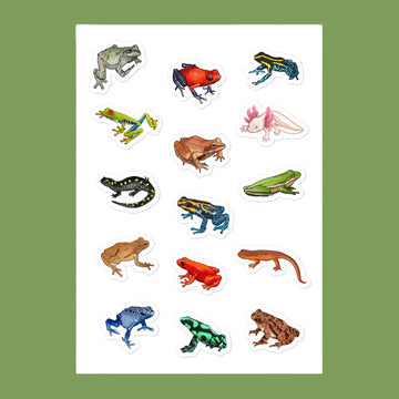 Amphibian Sticker Sheet