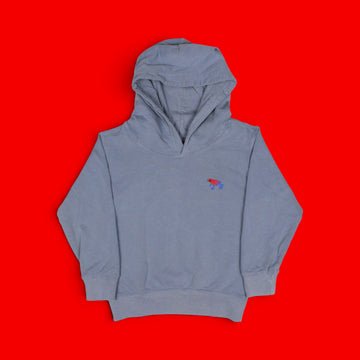 YOUTH Strawberry Poison Dart Frog Hoodie