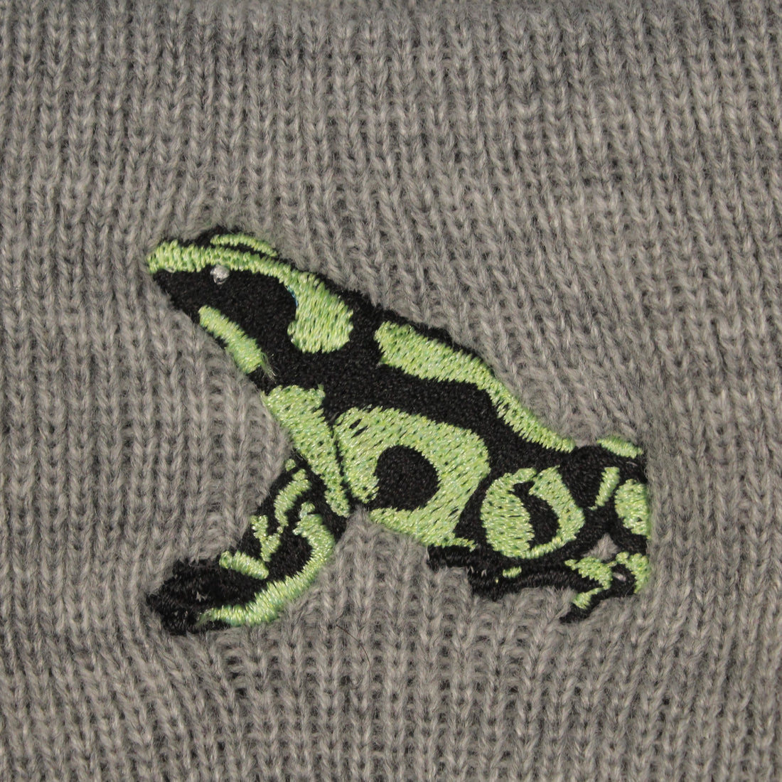 Green and Black Poison Dart Frog Beanie