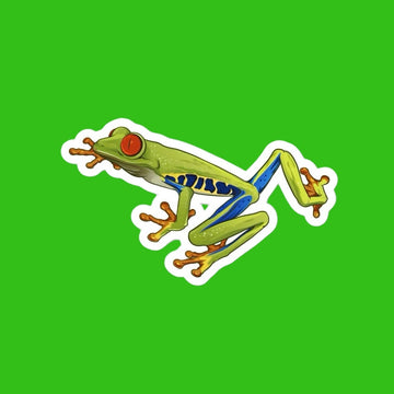 Red-Eyed Tree Frog Magnet