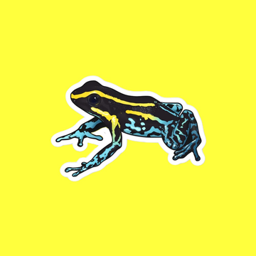 Sky-Blue Poison Frog Magnet