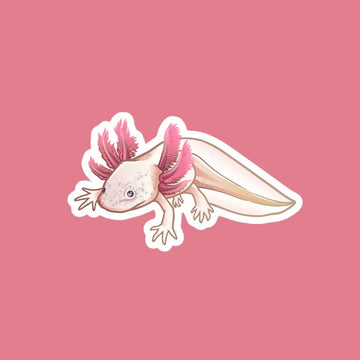 Leucistic Axolotl Magnet