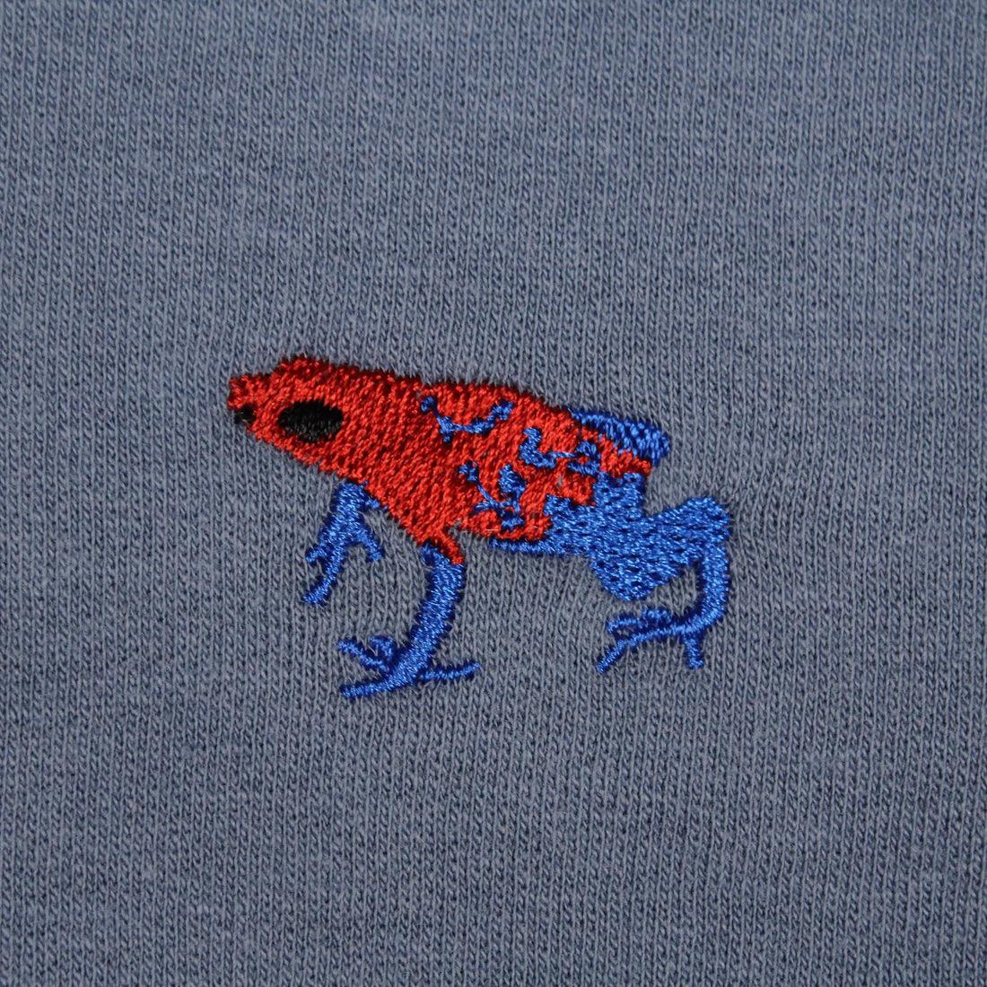 YOUTH Strawberry Poison Dart Frog Hoodie