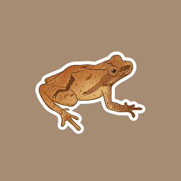 Spring Peeper Sticker