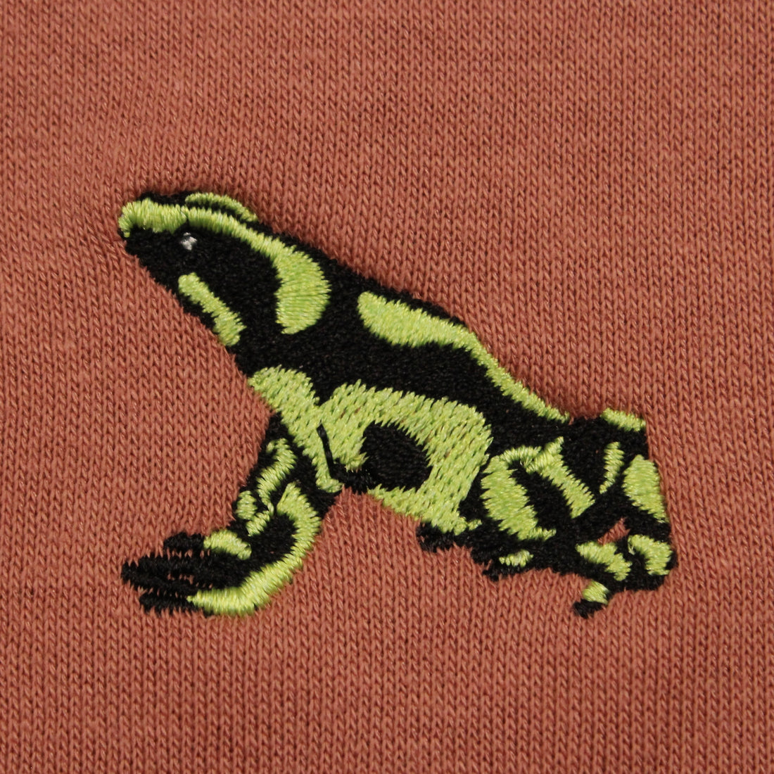 Green and Black Poison Dart Frog Embroidered Hoodie